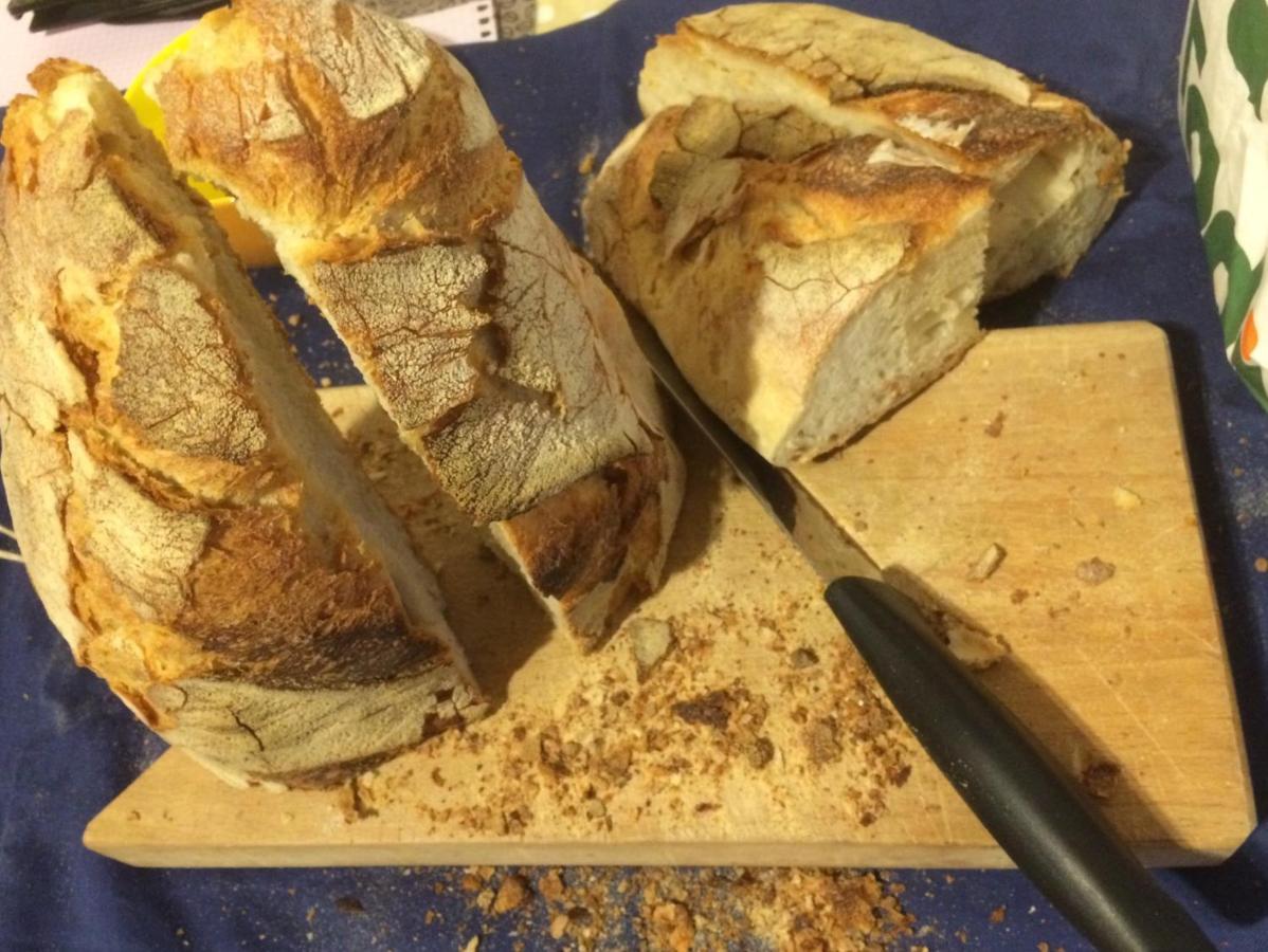 Il Gelsomino Bed and Breakfast Frasso Sabino Εξωτερικό φωτογραφία
