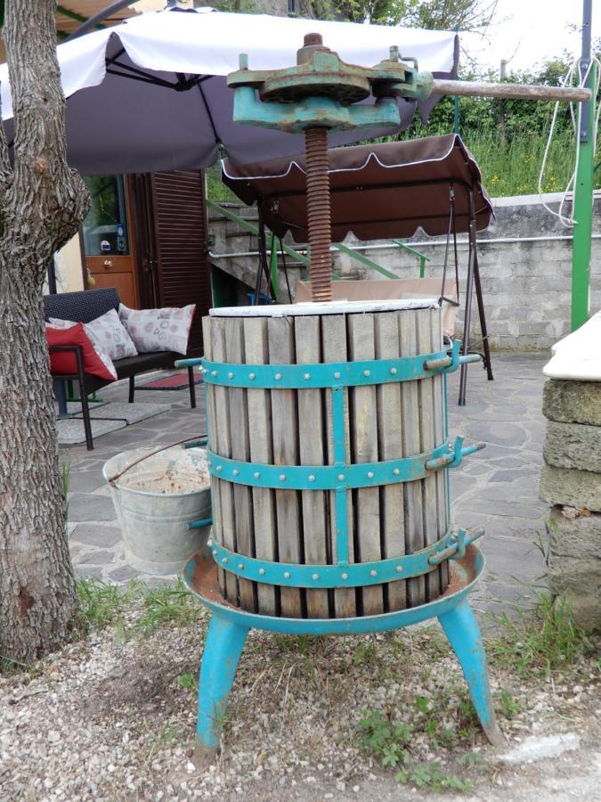 Il Gelsomino Bed and Breakfast Frasso Sabino Εξωτερικό φωτογραφία