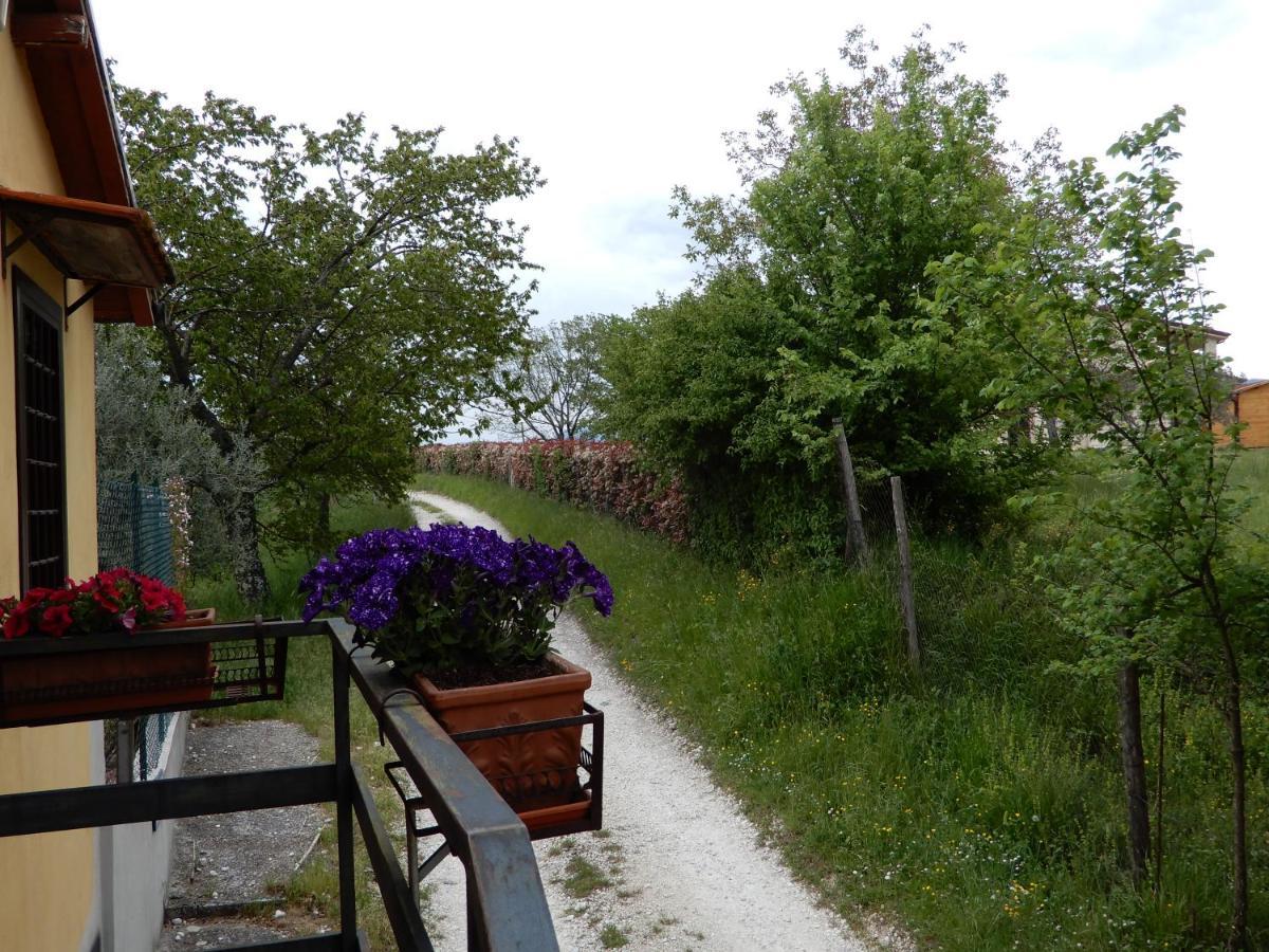 Il Gelsomino Bed and Breakfast Frasso Sabino Εξωτερικό φωτογραφία